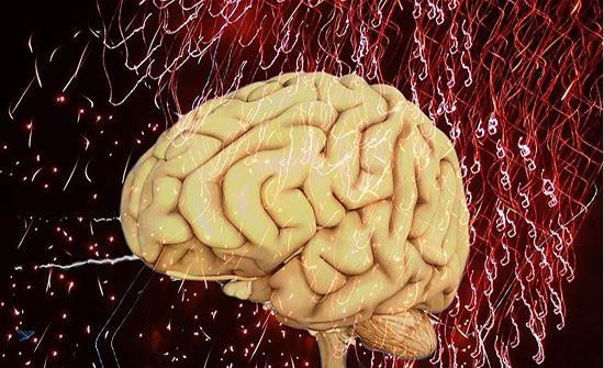 هكذا تحمون دماغكم من التغيرات المرتبطة بالعمر هكذا تحمون دماغكم من التغيرات المرتبطة بالعمر