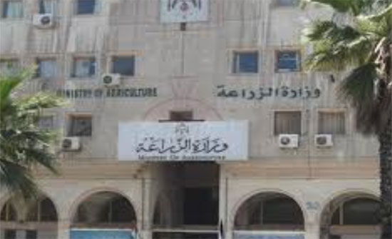 خطة لاستحداث معرض للمنتوجات الزراعية الدائمة في محافظتي عجلون واربد خطة لاستحداث معرض للمنتوجات الزراعية الدائمة في محافظتي عجلون واربد