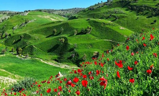 تعرف على الحالة الجوية ليوم الخميس تعرف على الحالة الجوية ليوم الخميس