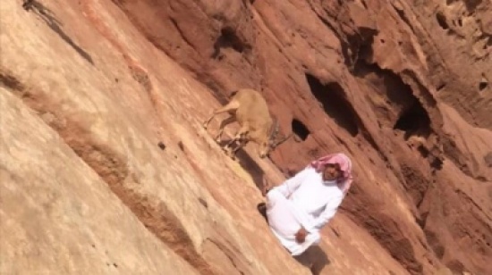 صورة على التواصل تقلب حياة شاب سعودي رأسا على عقب.. وهكذا فضل حياة الجبال قبل 3 أعوام! -صور صورة على التواصل تقلب حياة شاب سعودي رأسا على عقب.. وهكذا فضل حياة الجبال قبل 3 أعوام! -صور
