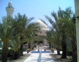 لجنة الصحة والسلامة العامة بالمزار الجنوبي تكثف جولاتها الميدانية لجنة الصحة والسلامة العامة بالمزار الجنوبي تكثف جولاتها الميدانية