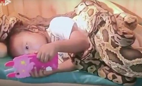 فيديو مرعب.. ثعابين ضخمة تحيط بطفلة أثناء مشاهدتها فيلما كرتونيا فيديو مرعب.. ثعابين ضخمة تحيط بطفلة أثناء مشاهدتها فيلما كرتونيا