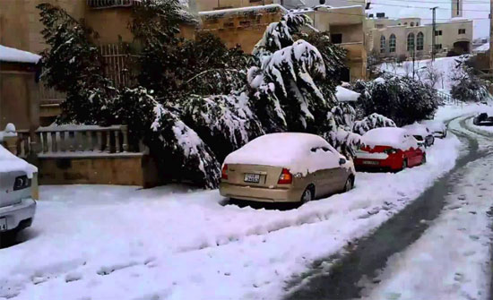 آخر تفاصيل المنخفض الجوي المتوقع يومي الخميس والجمعة..(فيديو) آخر تفاصيل المنخفض الجوي المتوقع يومي الخميس والجمعة..(فيديو)
