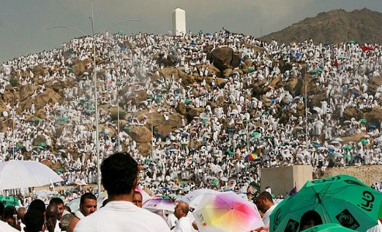 بعثة حج " الأردنية " تغادر إلى الديار المقدسة بعثة حج " الأردنية " تغادر إلى الديار المقدسة