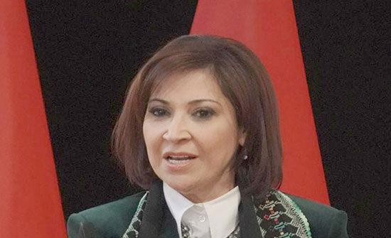 شويكة: معدل "تنشيط السياحة" هدفه تفعيل الحوكمة الرشيدة وضمان الجودة شويكة: معدل "تنشيط السياحة" هدفه تفعيل الحوكمة الرشيدة وضمان الجودة