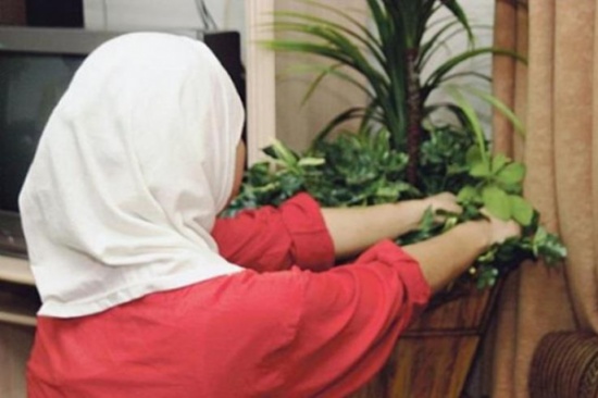 نقابة اصحاب مكاتب استقدام العاملات تنوي الاعتصام غدا نقابة اصحاب مكاتب استقدام العاملات تنوي الاعتصام غدا