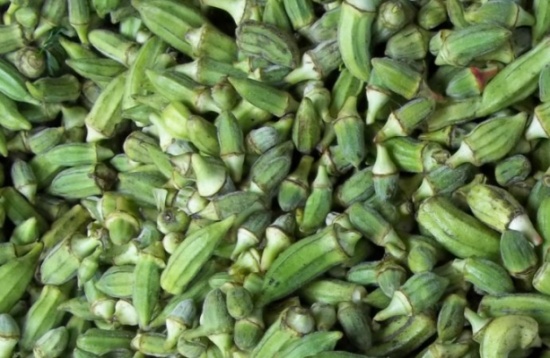 ازدياد كميات صادرات الباميا الاردنية الى الاسواق الاوروبية ازدياد كميات صادرات الباميا الاردنية الى الاسواق الاوروبية