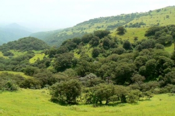 اطلاق حملة "فلنزرع بلدنا معا" اطلاق حملة "فلنزرع بلدنا معا"