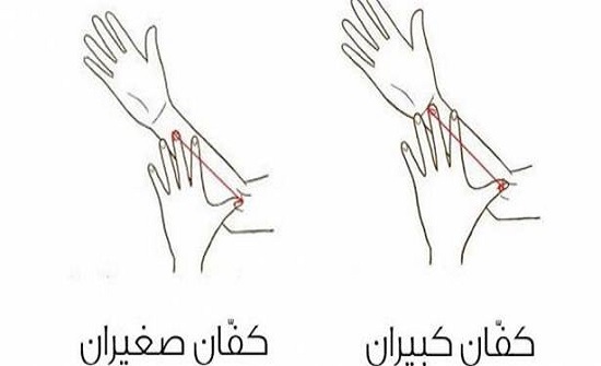 هذا ما يكشفه حجم كفَّيْك عن شخصيّتك! هذا ما يكشفه حجم كفَّيْك عن شخصيّتك!