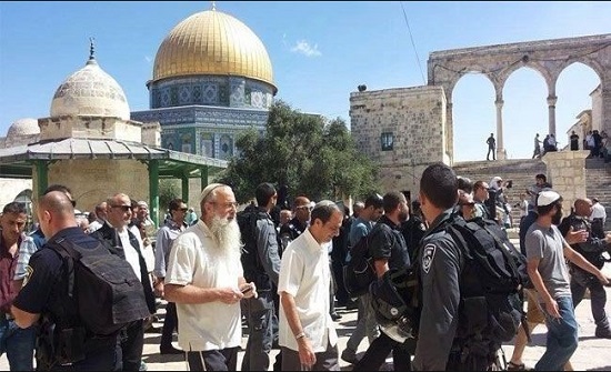 مستوطنون يطاردون الرعاة في خلة "حمد" بالأغوار الشمالية مستوطنون يطاردون الرعاة في خلة "حمد" بالأغوار الشمالية