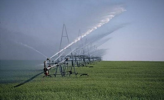 زراعة الطفيلة تدعو المزارعين الى الري التكميلي زراعة الطفيلة تدعو المزارعين الى الري التكميلي