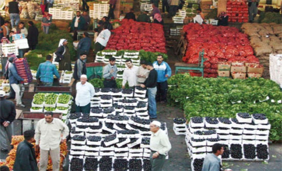 430 طنا واردات سوق العارضة من الخضار 430 طنا واردات سوق العارضة من الخضار
