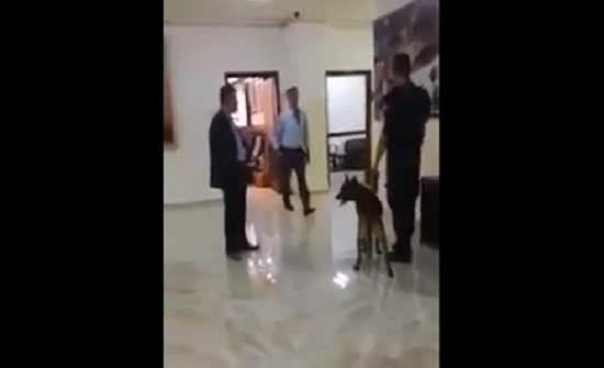 بالفيديو : كلاب بوليسية لتفتيش بلدية اربد ومياه اليرموك قبيل زيارة الرزاز بالفيديو : كلاب بوليسية لتفتيش بلدية اربد ومياه اليرموك قبيل زيارة الرزاز