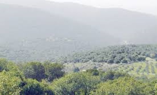 دعوة المتنزهين في وادي الريان وبرقش للمحافظة على جمالية الطبيعة دعوة المتنزهين في وادي الريان وبرقش للمحافظة على جمالية الطبيعة