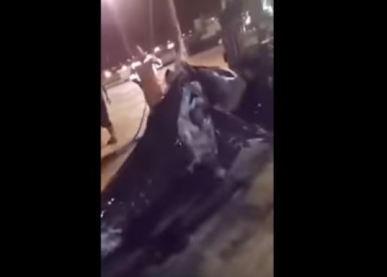 بالفيديو.. اصطياد حوت ضخم في العقبة بالفيديو.. اصطياد حوت ضخم في العقبة
