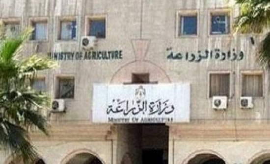 "الزراعة" تنفي قيام وزير الزراعة بتفويض أراضٍ حرجية لشخصية مهمة "الزراعة" تنفي قيام وزير الزراعة بتفويض أراضٍ حرجية لشخصية مهمة