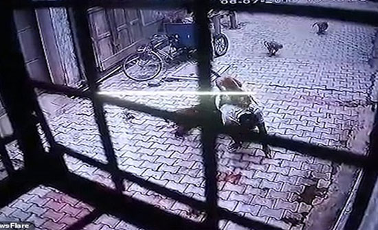 "قرود" تهاجم رجلا عائدا إلى منزله (فيديو) "قرود" تهاجم رجلا عائدا إلى منزله (فيديو)
