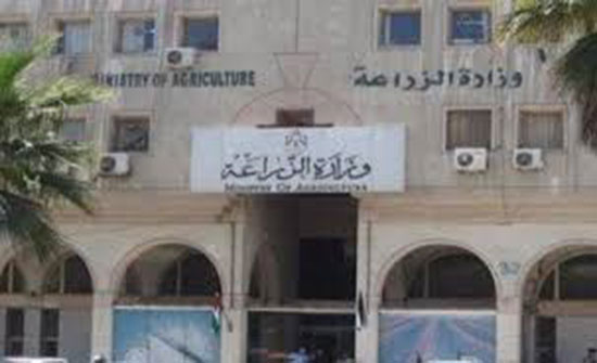 الزراعة تعلن خطتها لعيد الأضحى الزراعة تعلن خطتها لعيد الأضحى