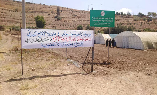 جرش: افتتاح وحدة للزراعة العضوية جرش: افتتاح وحدة للزراعة العضوية