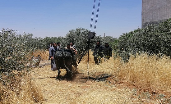بالصور :الدفاع المدني ينقذ بقرتين من داخل حفرة في اربد بالصور :الدفاع المدني ينقذ بقرتين من داخل حفرة في اربد
