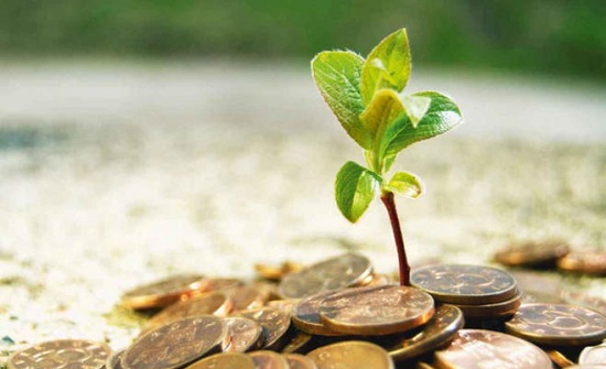 الجمعيات الخيرية بين الرقابة والمصداقية الجمعيات الخيرية بين الرقابة والمصداقية