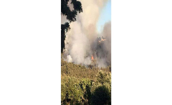 محافظ عجلون: إجراءات رادعة بحق المقالع المعتدية على الحراج محافظ عجلون: إجراءات رادعة بحق المقالع المعتدية على الحراج
