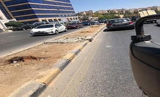 قطع أشجار بمسار الباص السريع قطع أشجار بمسار الباص السريع