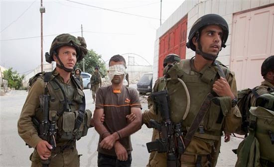 الاحتلال يعتقل 14 فلسطينياً في الضفة الغربية الاحتلال يعتقل 14 فلسطينياً في الضفة الغربية