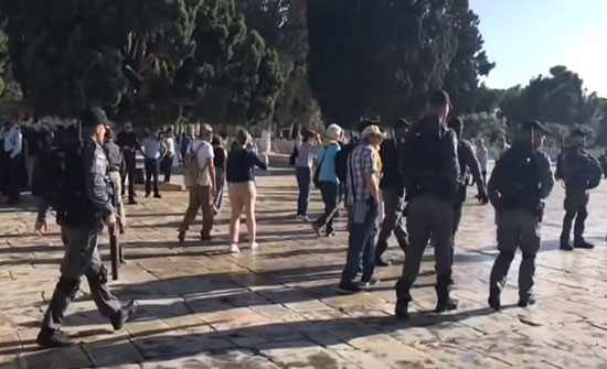 بالفيديو : اعتقال مصلين بالأقصى تزامنا مع اقتحام المستوطنين بالفيديو : اعتقال مصلين بالأقصى تزامنا مع اقتحام المستوطنين