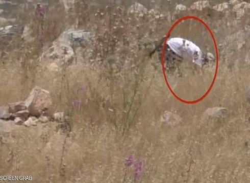 حرائق الحقول.. فيديو يكذّب الجيش الإسرائيلي ويدفعه للاعتراف حرائق الحقول.. فيديو يكذّب الجيش الإسرائيلي ويدفعه للاعتراف