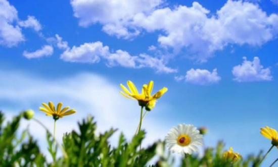 حالة الطقس الثلاثاء ثالث ايام العيد حالة الطقس الثلاثاء ثالث ايام العيد