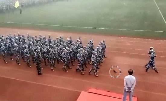 بالفيديو والصور : شاهد ما فعلته فتاة لاستعادة حذائها خلال عرض عسكري بالفيديو والصور : شاهد ما فعلته فتاة لاستعادة حذائها خلال عرض عسكري
