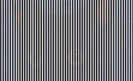 خدعة بصرية.. هل يمكنك رؤية الحيوان في الصورة؟ خدعة بصرية.. هل يمكنك رؤية الحيوان في الصورة؟