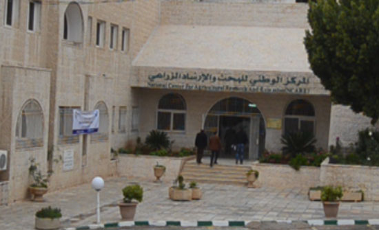 ورشة عمل موسعة بعنوان "مبادرة الأنواع النباتية الغازية" ورشة عمل موسعة بعنوان "مبادرة الأنواع النباتية الغازية"