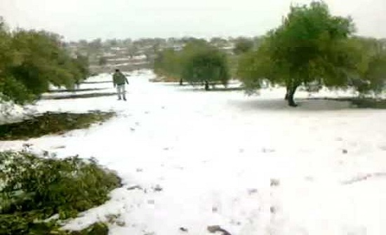 بالصور .. تساقط الثلوج في جرش بالصور .. تساقط الثلوج في جرش