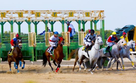 الأردن يفوز بالمركز السادس في بطولة ألمانيا للفروسية الأردن يفوز بالمركز السادس في بطولة ألمانيا للفروسية