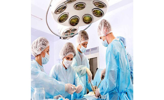 اليابان تبدأ أبحاثاً لزراعة أعضاء بشرية داخل الحيوانات اليابان تبدأ أبحاثاً لزراعة أعضاء بشرية داخل الحيوانات