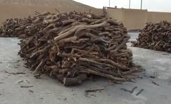 ضبط طن من الاحطاب المقطوعة في احد المنازل بعجلون ضبط طن من الاحطاب المقطوعة في احد المنازل بعجلون