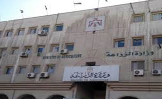 الزراعة والعمل يطلعان على واقع العمالة الزراعية والنقل الزراعة والعمل يطلعان على واقع العمالة الزراعية والنقل