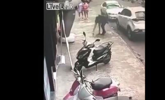تصرف غريب من فتاة بعد تعرضها للضرب من قبل شاب (فيديو) تصرف غريب من فتاة بعد تعرضها للضرب من قبل شاب (فيديو)