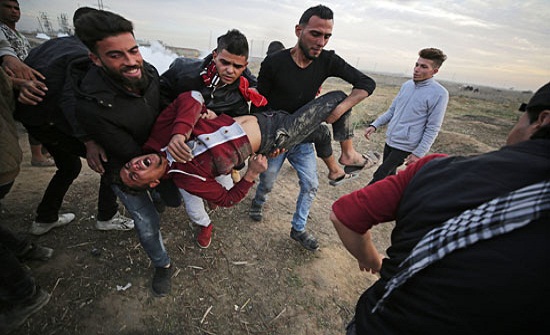 15 جريحا برصاص الاحتلال في قطاع غزة 15 جريحا برصاص الاحتلال في قطاع غزة