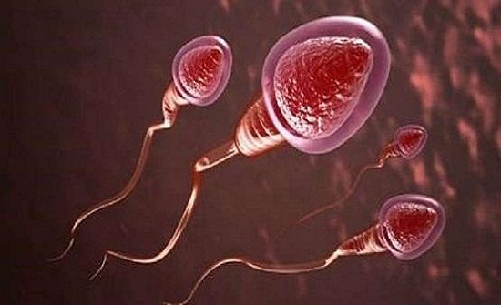 انتبه.. هذه الوجبات تخفض عدد الحيوانات المنوية انتبه.. هذه الوجبات تخفض عدد الحيوانات المنوية