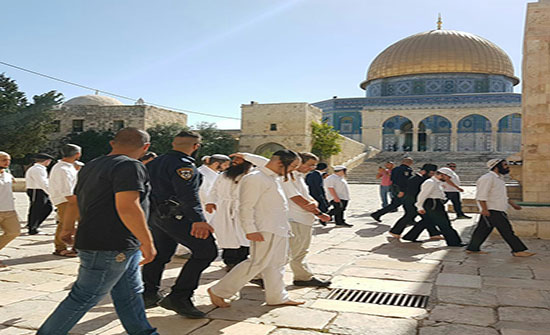 الإصلاح النيابية تصدر بيانا حول اقتحامات الاقصى ( نص البيان ) الإصلاح النيابية تصدر بيانا حول اقتحامات الاقصى ( نص البيان )