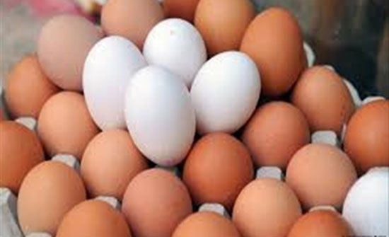 احذر تناول البيض لهذه الأسباب احذر تناول البيض لهذه الأسباب