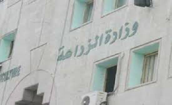 مليونان و850 الف دينار مخصصات الاقراض الزراعي لدير علا مليونان و850 الف دينار مخصصات الاقراض الزراعي لدير علا