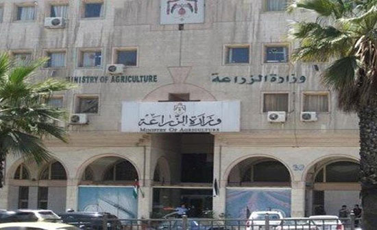 الزراعة تتسلم 22 ألف طن شعير و1239 طن قمح في إقليمي الشمال والوسط الزراعة تتسلم 22 ألف طن شعير و1239 طن قمح في إقليمي الشمال والوسط