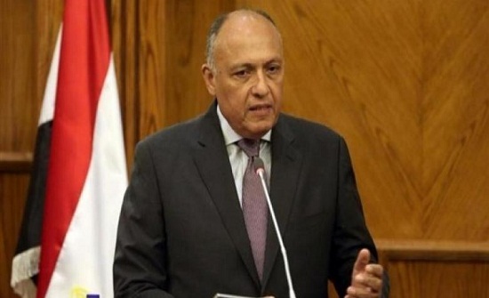 اجتماع وزاري مصري تونسي جزائري حول ليبيا اجتماع وزاري مصري تونسي جزائري حول ليبيا