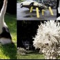 15 صورة ستجعلك تبتسم!