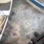 مقطع من الفيديو
