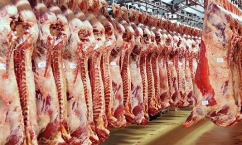 إتلاف 76 طناً من اللحوم منذ مطلع رمضان إتلاف 76 طناً من اللحوم منذ مطلع رمضان